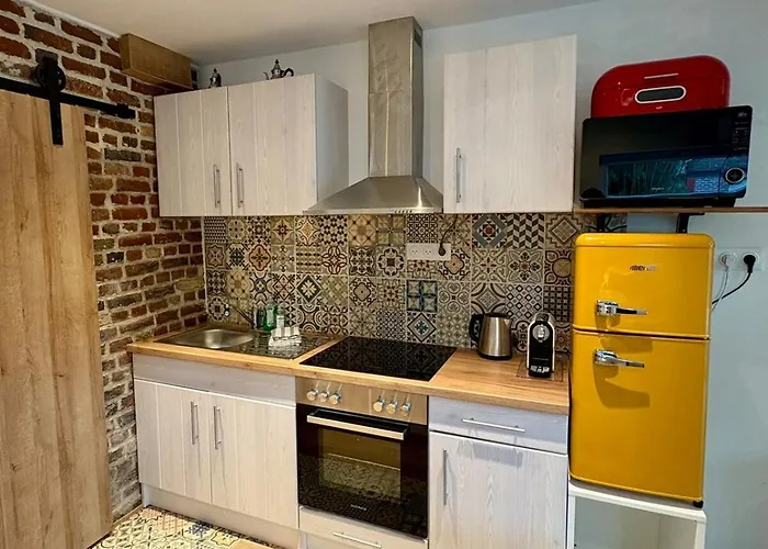 Appartement Au Ch'ti Cosy Roubaix